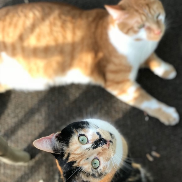 Say Hi to Ariel and Sonny! - Picture 1 of 1